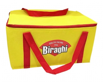 Cooler bag