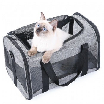 Pet outdoor bag
